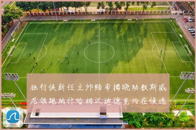 独行侠新任主帅赔率揭晓助教斯威尼领跑纳什哈姆汉迪德克均在候选之中