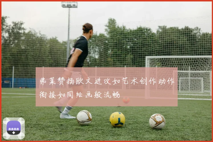 弗莱赞扬欧文进攻如艺术创作动作衔接如同绘画般流畅